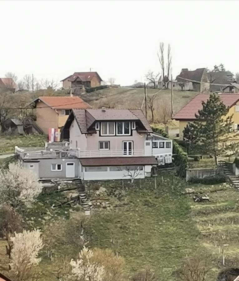 Panorama Apartman Molvice 外观 照片